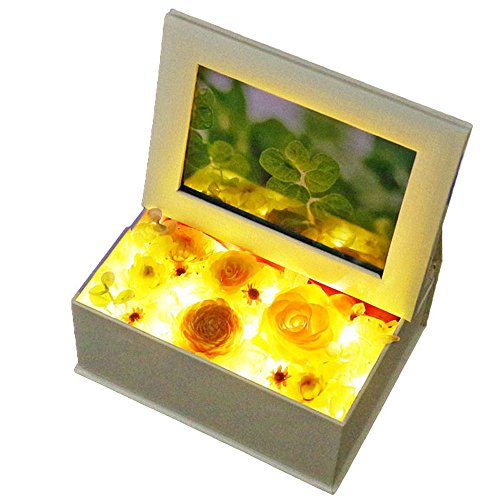 TEhAW  tHgt[ CG[ vU[uht[ ̓ ʐ^ LED