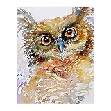 Coloriages Images par Numéros - Hibou oiseau animal mignon - Peinture par numéros pour adultes et enfants Kits cadeaux pré-imprimés 40x50cm