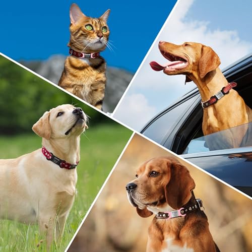YEHANTI Hundemarke mit Gravur - Leise Silikon Hundemarke Personalisiert mit Name, Telefonnummer und Adresse - Personalisierte Anhänger Marke für Hunde, Katzen und Welpen (Schwarz-Schwarz, M)