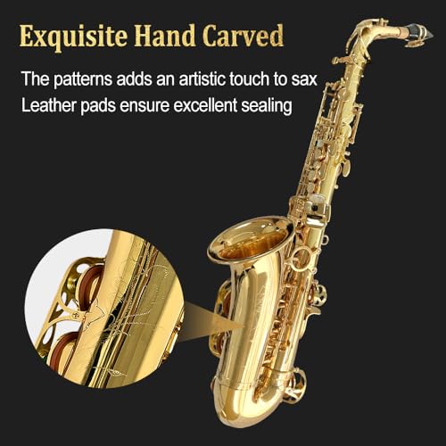 Image of Beginner Alto Saxophone, E Flat - Complete Starter Kit with Case & 10 Reeds, for Adults & Students, Easy to Play for School Band & Practice(Gold)