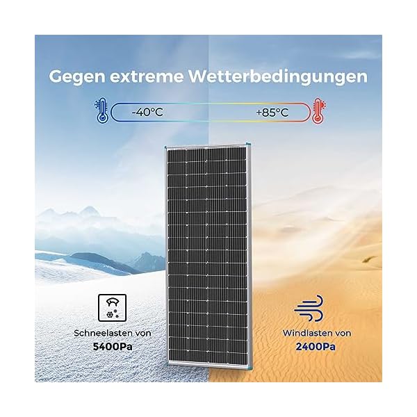 Renogy Solarmodul Mono 12 V, Solarpanel, Solarzelle, Photovoltaikmodul für Aufladen von 12V Solarbatterie IP65 wasserdichte Anschlussdose – Bild 5