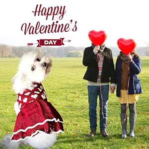 Small Dog Sweaters Girl Red Winter Warm Dog Christmas Dress Costume Clothes Dachshund Chihuahua Corgi (Red, S) Small Dog Sweaters Girl Red Winter Warm Dog Christmas Dress Costume Clothes Dachshund Chihuahua Corgi Red S