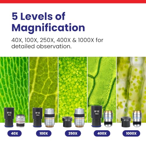 Trinocular Compound Microscope for Lab