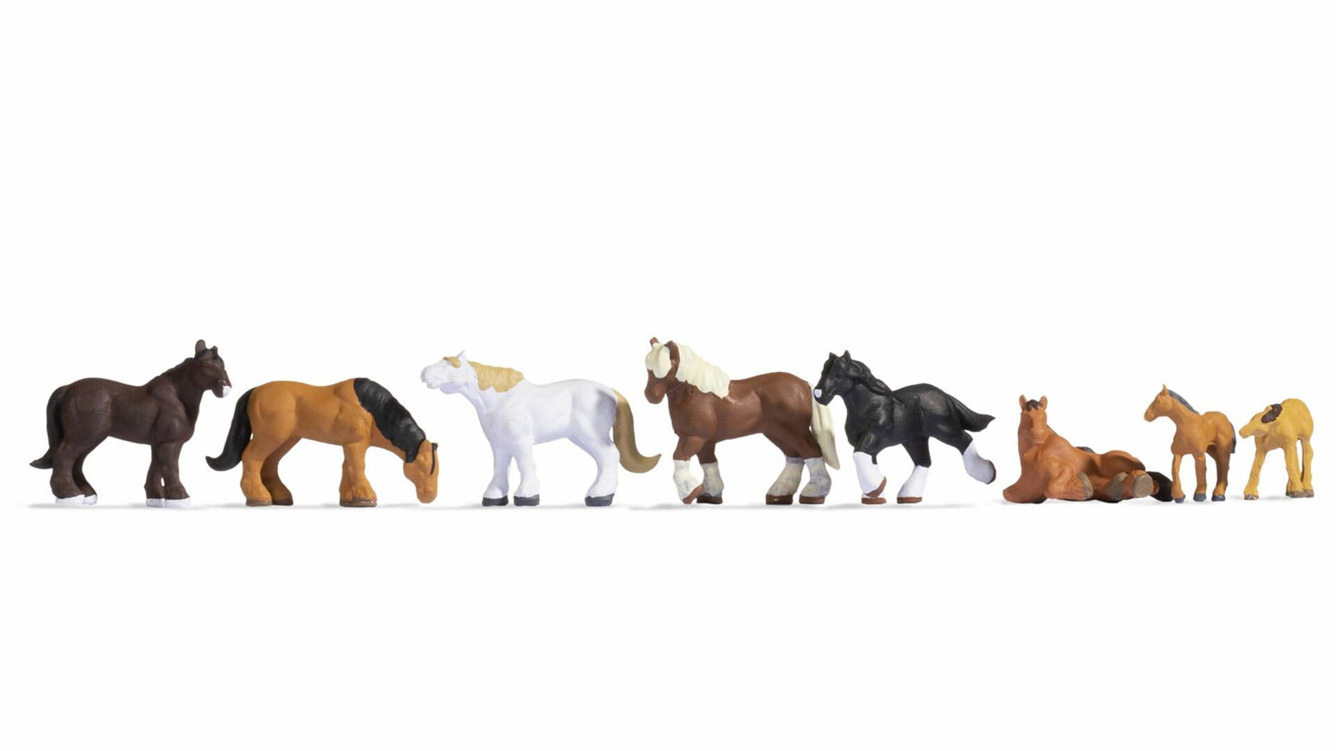 Noch 45762 cold-blooded horses, Divers