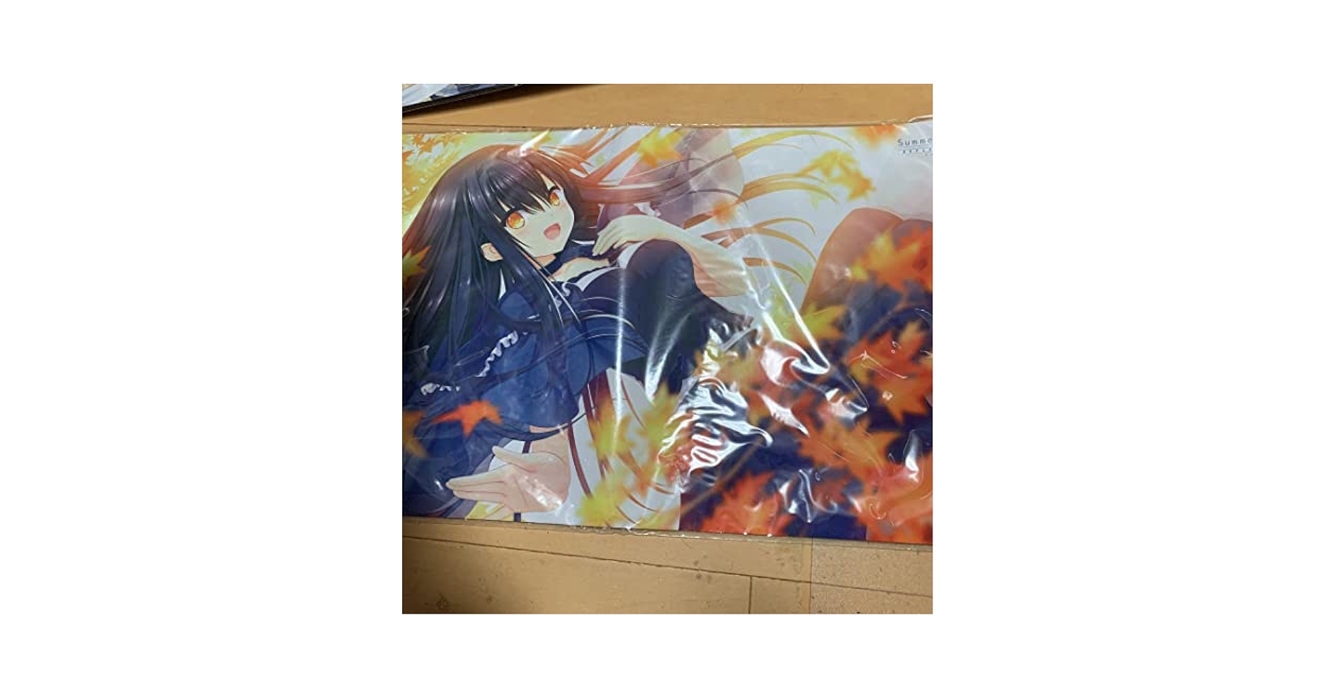 Amazon.co.jp: Summer Pockets 「久島鴎紅葉」 サマポケ プレイ