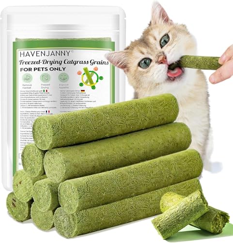 HavenJanny 50g Cat Grass Teething Stick Freezed Drying Cat Grass Sticks Snacks for Cats Edible Cat Treats for Teeth Cleaning and Hairball Removal
