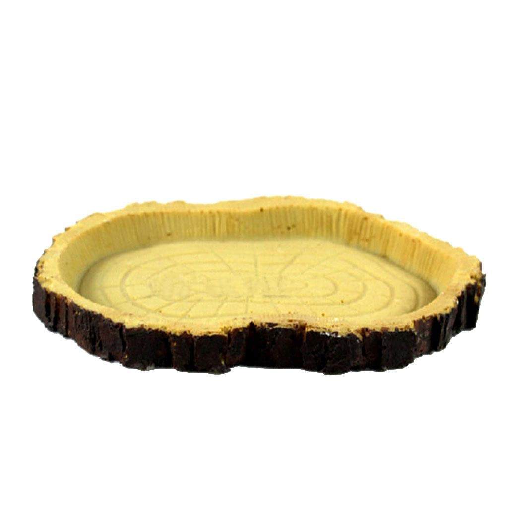 See full amazon price history chart for Enakshi Reptile Feeding Bowl Food Water Resin Dish Pet Vivarium Tortoise Gecko Snake |Pet Supplies | Reptile Supplies Enakshi Reptile Feeding Bowl Food Water Resin Dish Pet Vivarium Tortoise Gecko Snake |Pet Supplies | Reptile Supplies (B0BTYZV1BR) Amazon Price History, Amazon Price Tracker