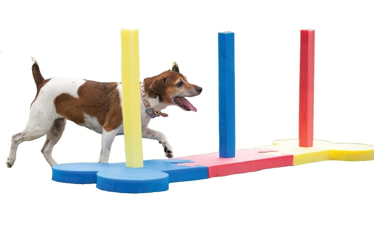 Amazon | Rosewood 犬用アジリティ スモールドッグスラローム