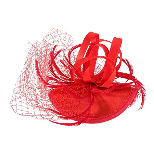 Buy Street27 Women Girls Ladies Feather 