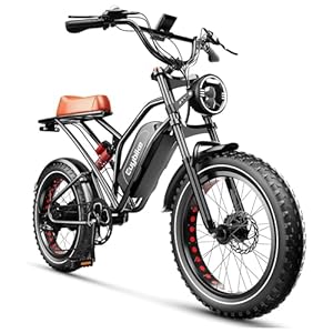 EUY 2000W Motor 48V 25Ah Removable Battery Electric Bike for Adults,Up to 35MPH & 100 Miles Fat Tire EBike All Terrain Assist E Bike, Hydraulic Disc Brake and and Suspension, Adjustable Front Fork