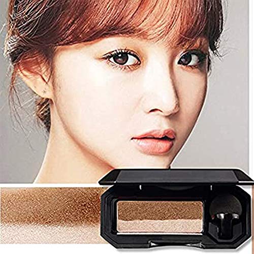 Dual-Color Eyeshadow Makeup Palette Frosted Pigment Nude Eyeshadow Powder Durable Waterproof Eyeshadow Palette (#04 Earth Tones)