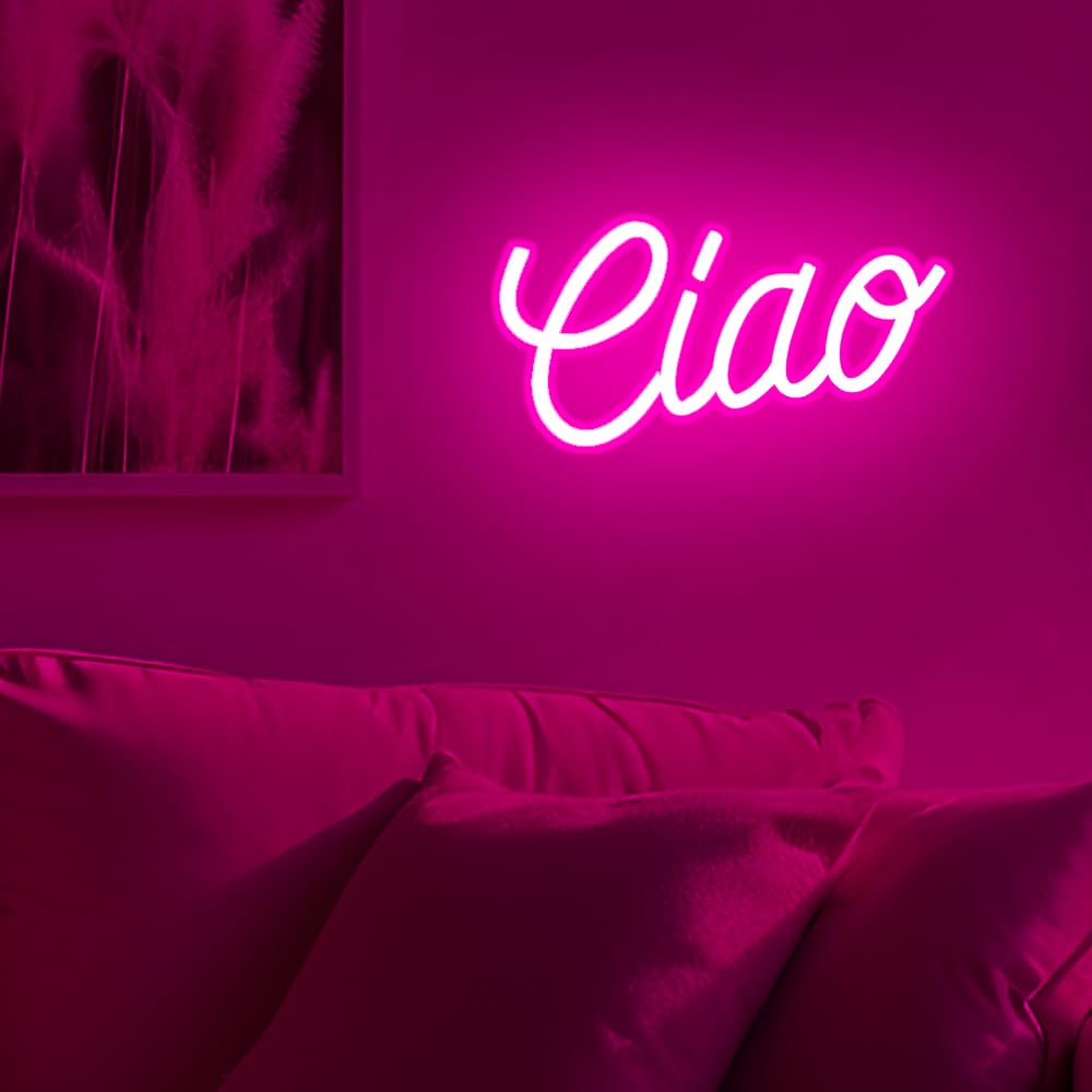 "Bonjour" "Ciao" LED Neon Sign Wall Light - USB Powered, Adjustable Brightness, 15" X 7" Decorative Lamp - View #3
