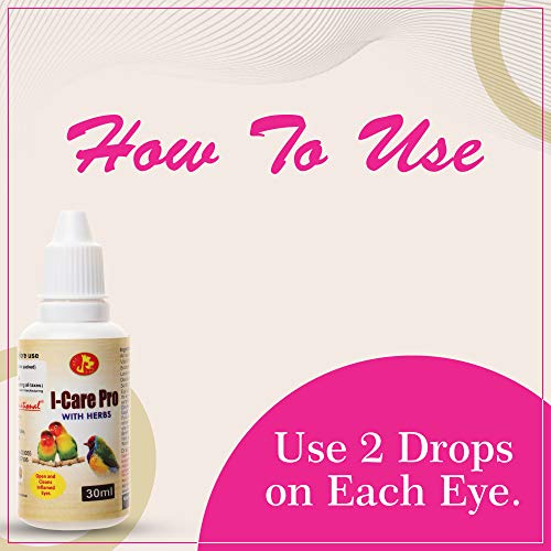 Image of Pet Care International (PCI) Bird Supplement I-Care Pro, Provide Healthy Eye Care for Healthy Bird Bath Healthcare (30 ML, I-Care Pro)