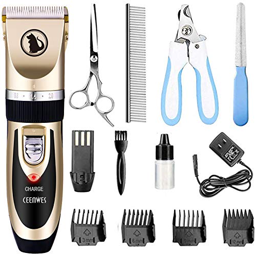 Best Clippers for Persian Cats that Make Your Job Easier in 2022