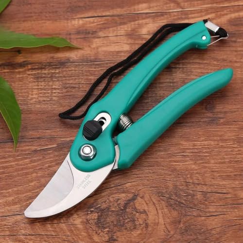 Image of Garden Tools for Home & Nursery Use | Hand Tools for Plant Care & Gardening (Pruning Shears Garden Cutter)