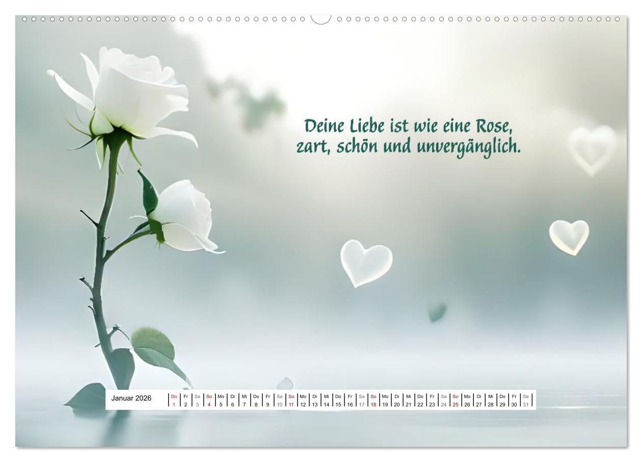 Ein Jahr voller Liebe (hochwertiger Premium Wandkalender 2026 DIN A2 quer), Kunstdruck in Hochglanz: Ein besonderer Kalender der Liebe (CALVENDO Orte)