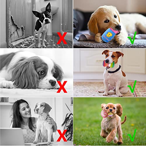 Cielbleu 10 stück Hund Quietschspielzeug für kleine, Hundespielzeug Welpenspielzeug, Haustier Hund Plüsch Spielzeug, Obst Snacks und Gemüse kauspielzeug für kleine Mittelgroße Hunde