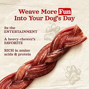 Natural Farm Odor-Free Braided Bully Sticks (6 Inch, 10 Pack) – 100% Grass-Fed Beef, Grain-Free, Low Fat & Fully Digestible Dental Treats – Safest Long Lasting Pizzle Chews to Keep Your Dog Busy