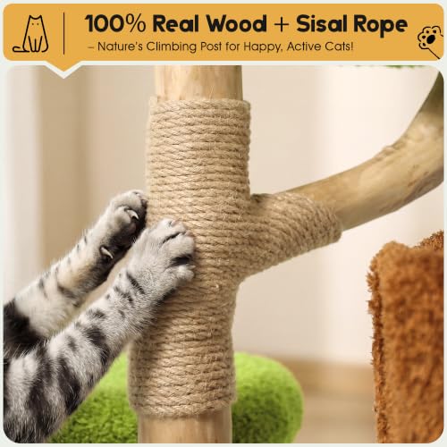 Image of KAMABOKO 57 inch Tall Indoor Cat Tree, Large Tower with 2 Condos & Sisal Scratching Pad