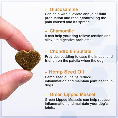 Senior Dog Joint Supplements with Glucosamine Chondroitin MSM - Hip & Joint Support for Dogs with Green Lipped Mussel, Turmeric, Omega 3 for Mobility & Comfort - Beef Flavour Dog Supplements - Image 4