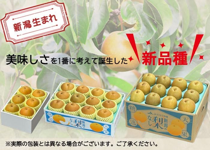 新王 しんおう 糖鮮確実 6～18玉 5kg 糖度13度以上 新潟県産 なし 【ボック】 ナシ