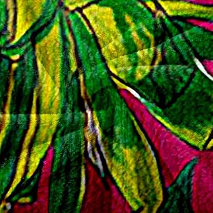 YHDNP Kuscheldecke Flauschig 100x130cm Frucht-Ananas-Druck Wohndecken Decke Picknicku Ltraweich Und Warm Sofadecke Kuscheldecken 3D-Druck Flanell Fleecedecke Für Erwachsene Und Kinder – Bild 4