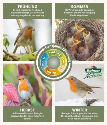 Dehner Natura Wildvogelfutter | Meisenknödel mit Netz | energiereiches Premium Ganzjahresfutter | mit Nüssen | Fettfutter für Meisen und Rotkehlchen |100 Stück | 10 kg