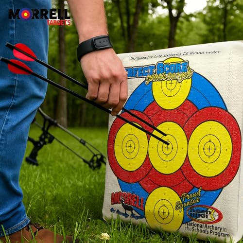 Image of Morrell Lightweight Outdoor Portable Youth Kids Range NASP Field Point Archery Bag Target with 2 Sides and 4 Shooting Spots for 30 Pound Bows