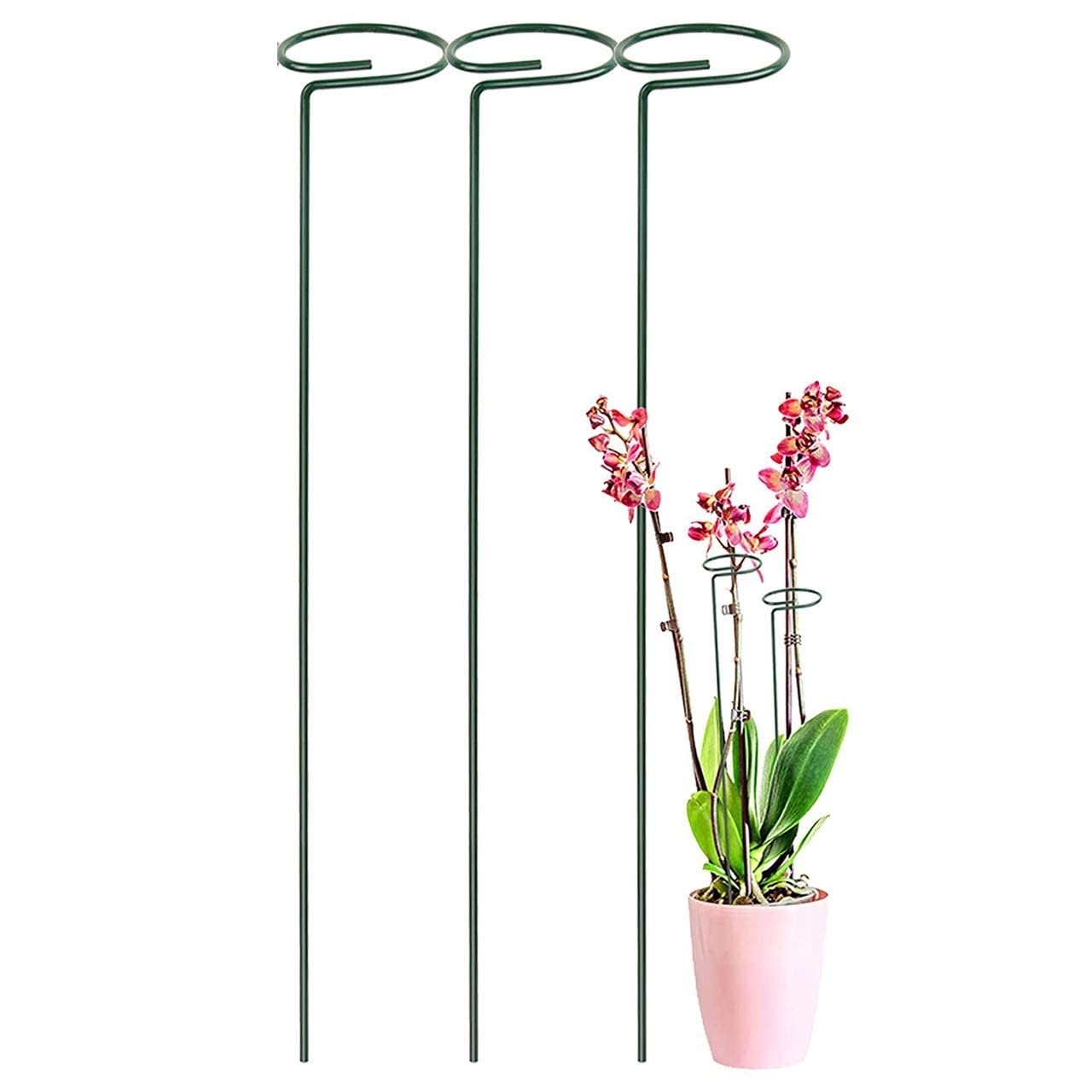 See full amazon price history chart for 16 inches Metal Plant Stakes | Single Stem Flower Plant Support | Garden Plant Trellis for Amaryllis Orchid Lily Rose Tomatoes (4) 16 inches Metal Plant Stakes | Single Stem Flower Plant Support | Garden Plant Trellis for Amaryllis Orchid Lily Rose Tomatoes (4) (B0CVV2QZ1R) Amazon Price History, Amazon Price Tracker