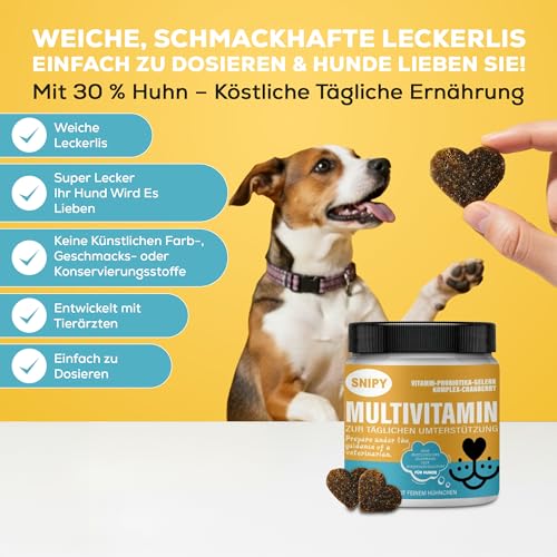 Multivitamine für Hunde – 100 Soft Snacks mit Probiotika, Vitaminen, Omega-3 & Grünlippmuschel, SNIPY Premium, Fell, Gelenke & Vitalität