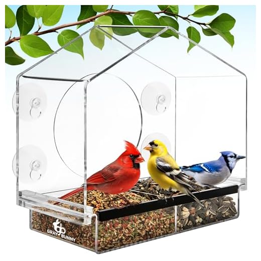 Deluxe Clear Window Bird Feeder, Large Wild Birdfeeder with Drain Holes, Removable Tray, Super Strong Suction Cups, Transparent Viewing, Covered, High Seed Capacity, Rubber Perch