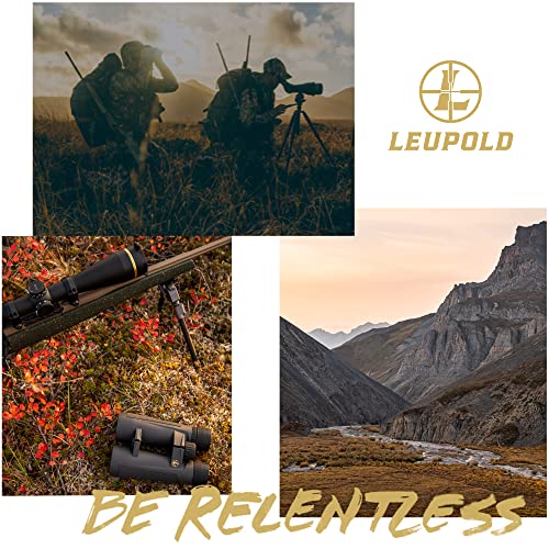 Image of Leupold BX-4 Pro Guide HD Binoculars, 10x42mm, Shadow Gray (172666)