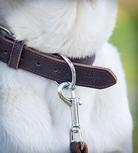 Jack & Russell Hundehalsband aus Fettleder – Handgefertigtes Echtleder Hundehalsband – Robustes Lederhalsband für kleine, mittelgroße und große Hunde, Fat-Tony (M)