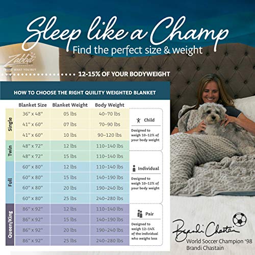 Quility Premium Adult Weighted Blanket & Removable Cover | 15 lbs | 48"x72" | for Individual Between 140-180 lbs | Twin Size Bed | Premium Glass Beads | Cotton/Minky | Grey/Pink