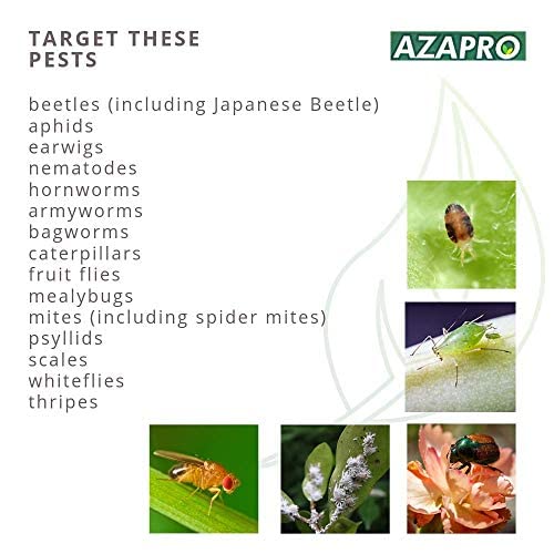 Miniatura 4 de Azapro - Insecticida botánico - Manejo de plagas y control de crecimiento concentrado para jardinería orgánica (2.5 galones)