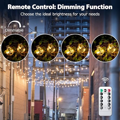 DSLebeen Festoon Lights Outdoor Battery Powered: 9m 30ft Waterproof Battery Fairy Lights 12pcs A60 Large LED String Bulb Light with Remote Control Decorative Lighting for Garden, Patio, Christmas - Image 3