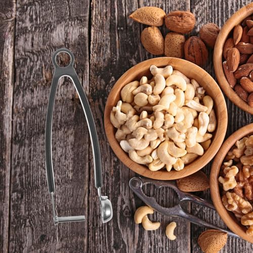 HOUDERCO ステンレス製コンパクト去核器 果物コア除去ツール チェリーやリンゴに対応 簡単効率的なピッティング 家用キッチン携帯便利