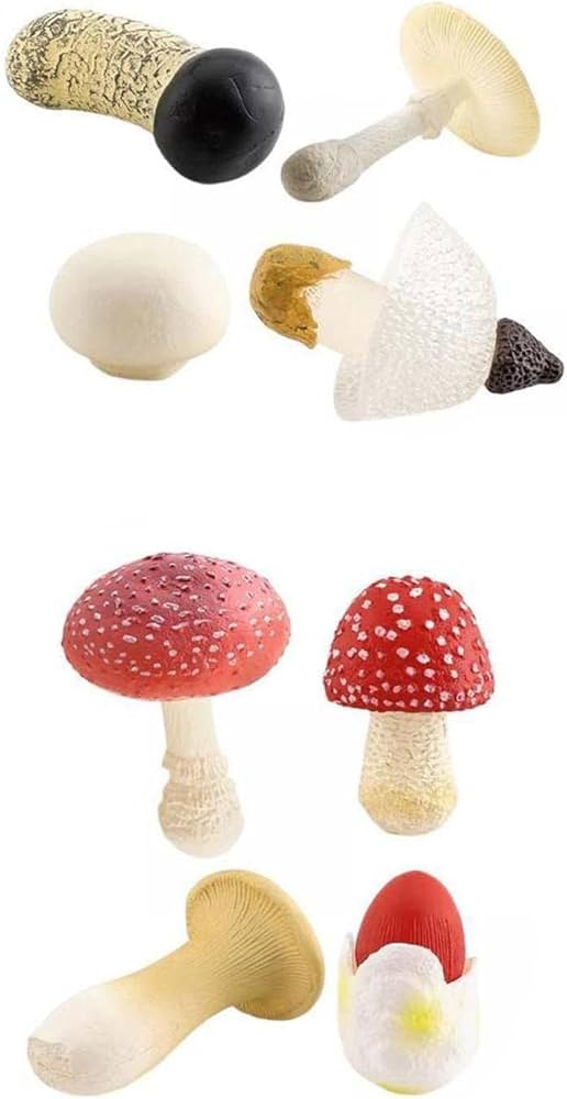 Amazon | Kokiya 8分割きのこ模型 託児所向け装飾フィギュア