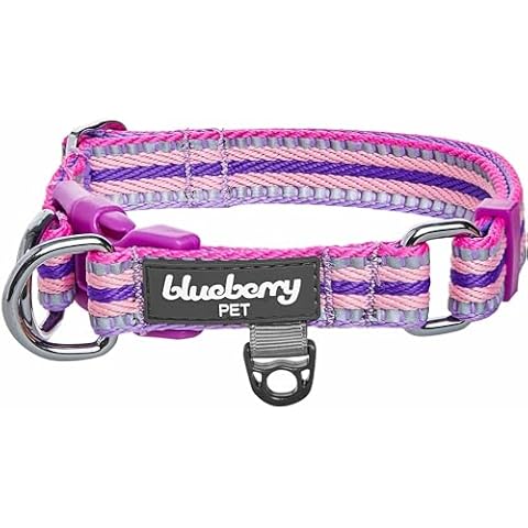 Blueberry Pet 3M Reflective Dog Collars | Adjustable Dog Collar w/Multi-Colored Stripe - Orchid, Pink and Lavender | Nylon Pet Collars for Dogs & Refflective Dog Collar for Medium Dogs Cover