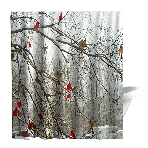 Final Friday Forest Tree Shower Curtains Cute Cardinal Birds on Branch Theme Cloth Fabric Bathroom Decor Sets with Hooks Waterproof Washable 72 x 72 inches Red White and Brown Final Friday Forest Tree Shower Curtains Cute Cardinal Birds on Branch Theme Cloth Fabric Bathroom Decor Sets with Hooks Waterproof Washable 72 x 72 inches Red White and Brown