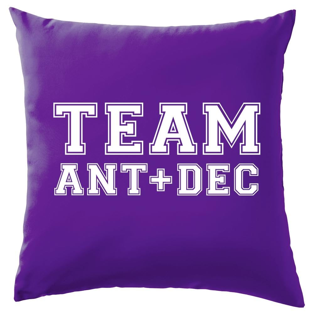 Team Ant And Dec - Cushion/Pillow (with Insert) - 41 x 41cm (16)" - Mauve - One Size