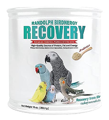 BIRDNERGY Recovery from Illness 283 g. Bird Booster Vitamins Health Bird Supplement WHEY Protein 35 % Probioticsā¦