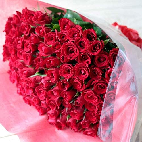 Amazon Co Jp 8 17 8 21日付指定不可 Bisesflower バラ 花束 100本 赤 プロポーズ サプライズ 花 ローズ 薔薇 ブーケ ウェディング プレゼント 生花 記念日 結婚 バラの花束 誕生日 薔薇の花束 Diy 工具 ガーデン