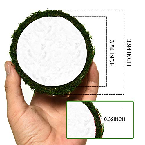 Vumdua Moss Ball, Natural Decorative Green Globes With Handmade, Hanging Balls Vase Bowl Filler For Home Party &Weddings Display Decor Props (3.5"-Set Of 6) #TOP1