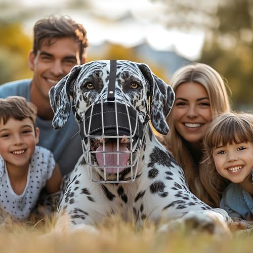Maulkorb der Deutschen Dogge, um Beißen zu verhindern, extra großer Maulkorb für Deutsche Dogge, Metallkorb für Dogge, atmungsaktiv und trinkbar