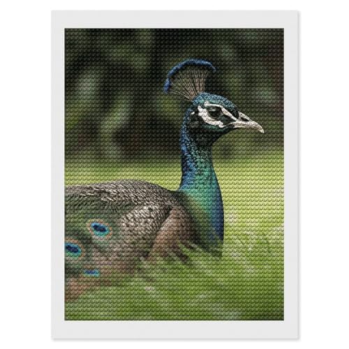 Peinture diamant animaux kit anti-stress décoration murale maison