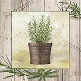 artissimo, Dekopanel, Deco Panel, ca. 30x30cm, PE6334-PA, Kräuter: Rosmarin, Bild, Wandbild, Poster auf Decopanel, Küche, Küchenbild, Kräutertöpfe