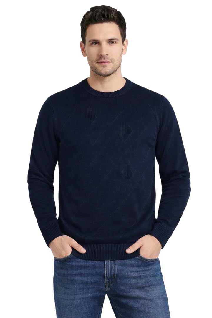 camey Men's Textured Knit Sweater, Full Sleeve Round Neck Winter Pullover, Soft and Warm Casual Wear-picture-18