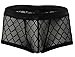 Men's Sexy Mesh Sheer Boxer Briefs Underwear Black Trunks Underpants (X-Large)