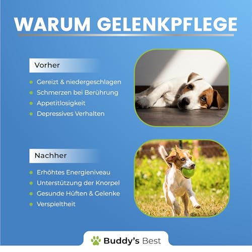 BUDDY'S Best 50ml Gelenk- & Knochenschutz für Hunde - Schmerzmittel für Hunde - Gelenke Hund - Schmerzmittel Hund Gelenke - Joint Care Hund